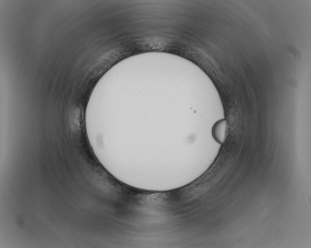 X0000113120122200909251121