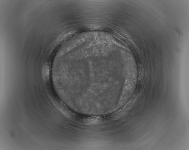 X0000113120124200909251121