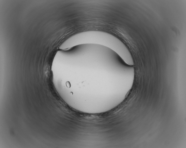X0000113120125200909251121