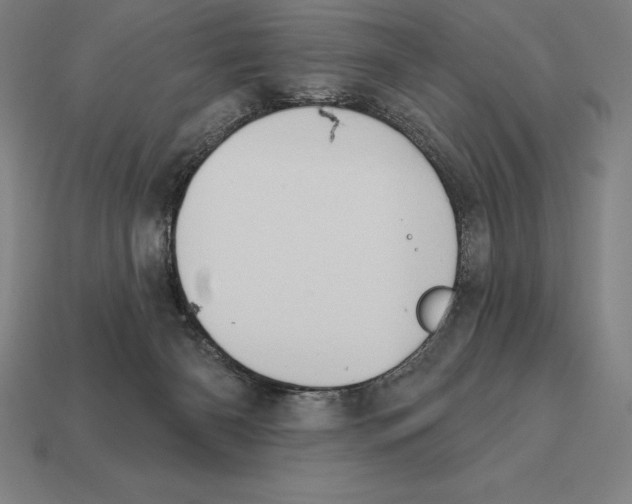 X0000113120126200909251121