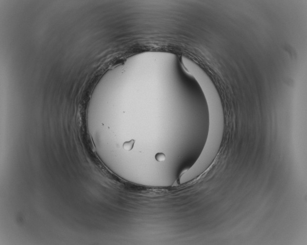 X0000113120128200909251121