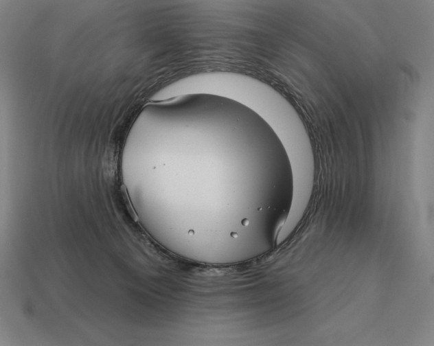 X0000113120129200909251120