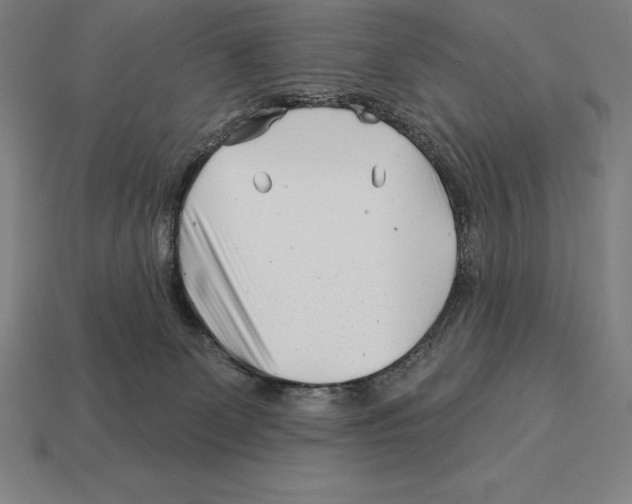 X0000113120131200909251120