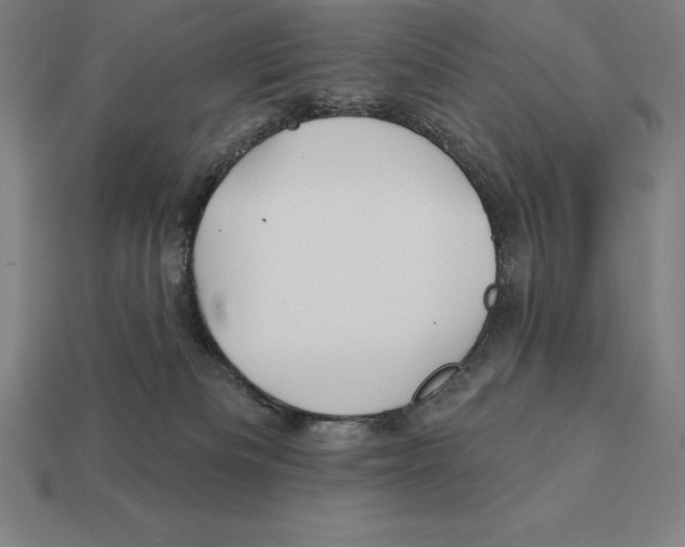 X0000113120133200909251120
