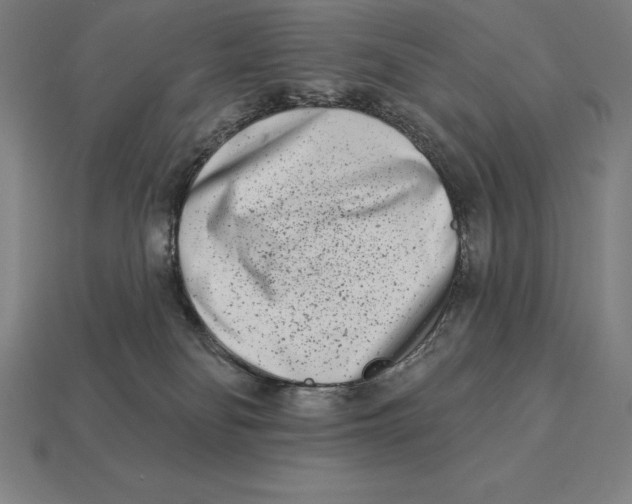 X0000113120134200909251120