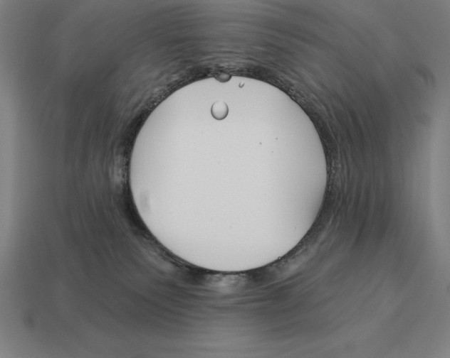 X0000113120135200909251120