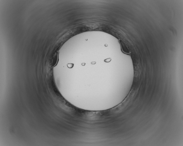 X0000113120136200909251120