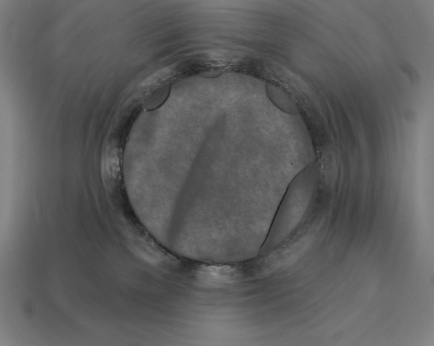 X0000113120137200909251120