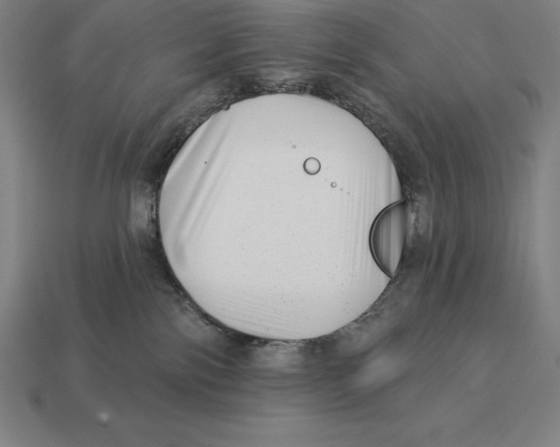 X0000113120138200909251120