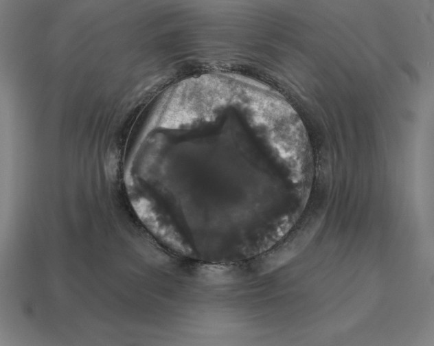 X0000113120139200909251120