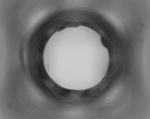 X0000113120140200909251120