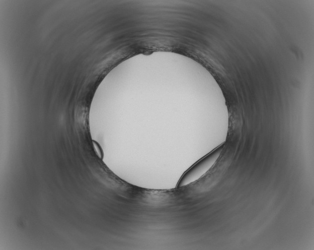 X0000113120141200909251120