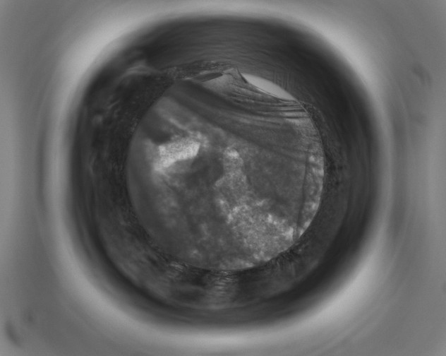 X0000113120143200909251120