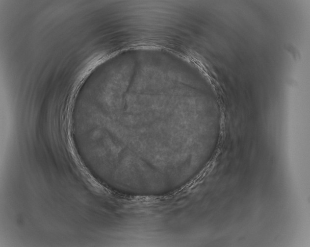 X0000113120145200909251120