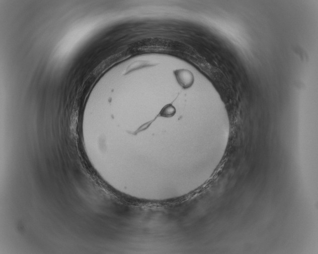 X0000113120146200909251120