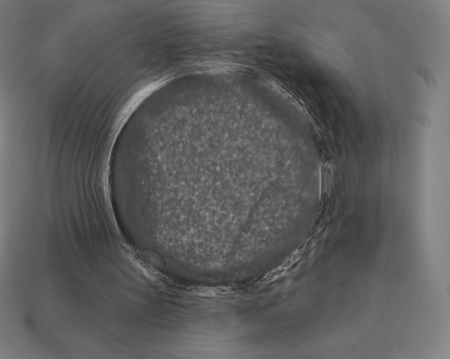 X0000113120147200909251120