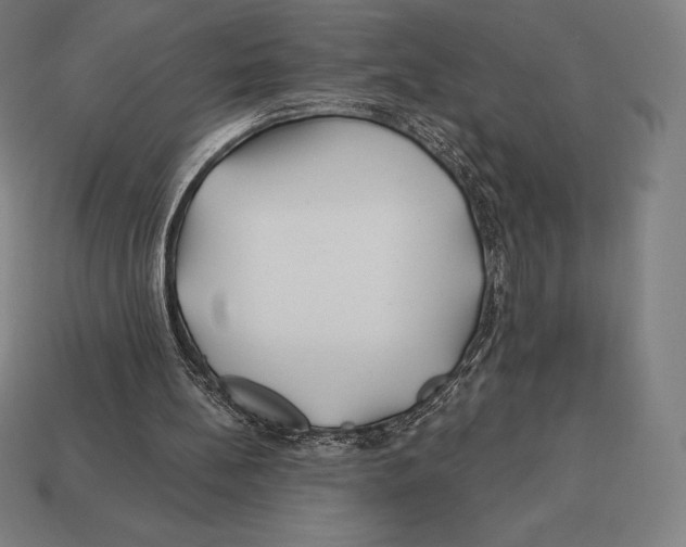 X0000113120148200909251120