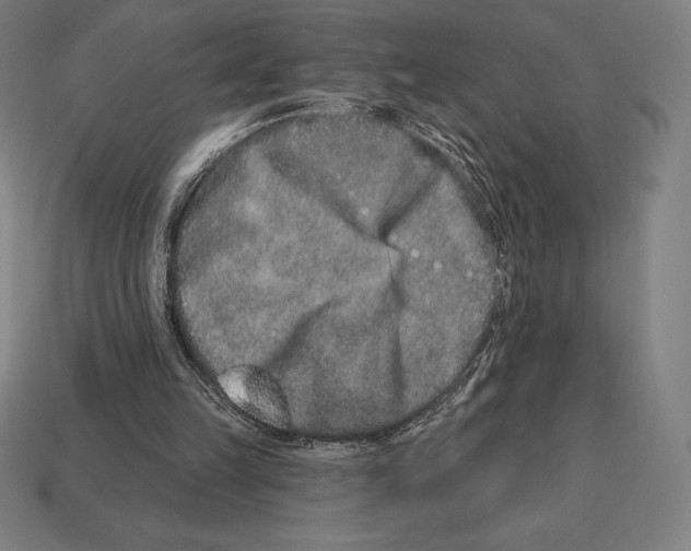 X0000113120149200909251120