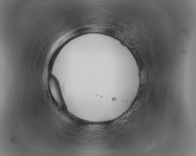 X0000113120150200909251120