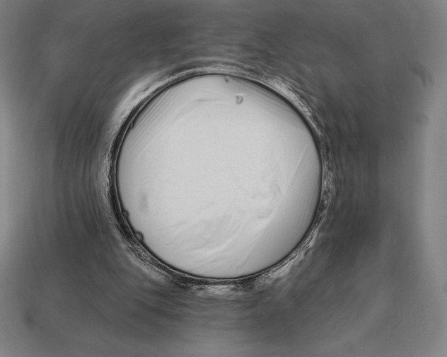 X0000113120151200909251120