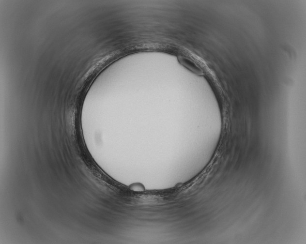 X0000113120154200909251120