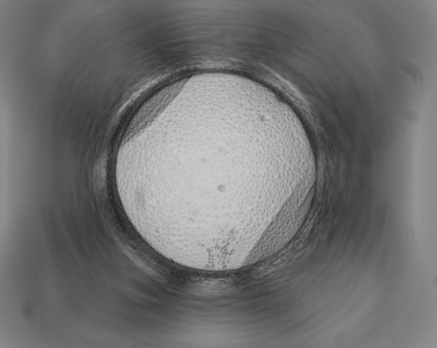 X0000113120155200909251120