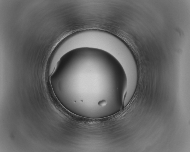 X0000113120156200909251120