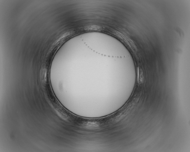 X0000113120157200909251120