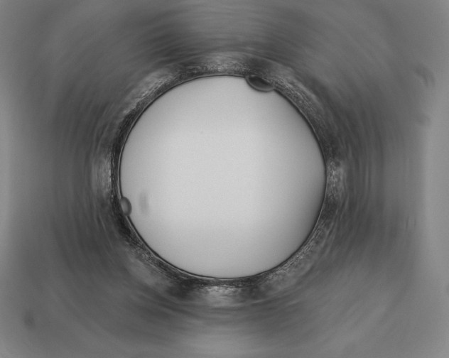 X0000113120158200909251120