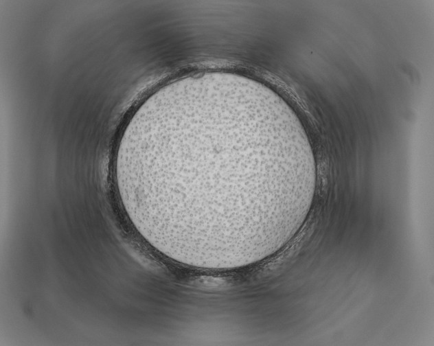 X0000113120159200909251120