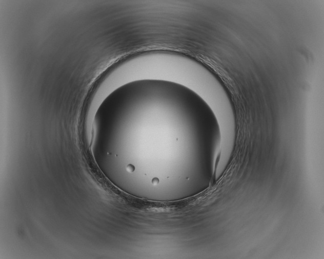 X0000113120160200909251120