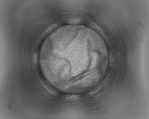 X0000113120161200909251120