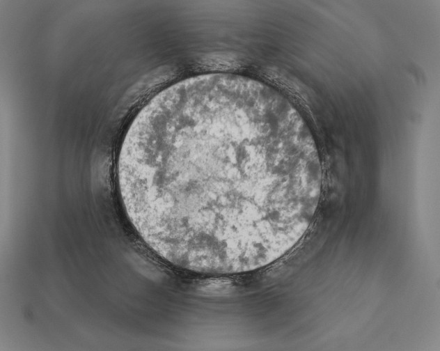 X0000113120162200909251120