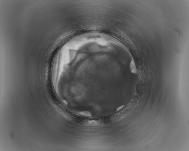 X0000113120163200909251120