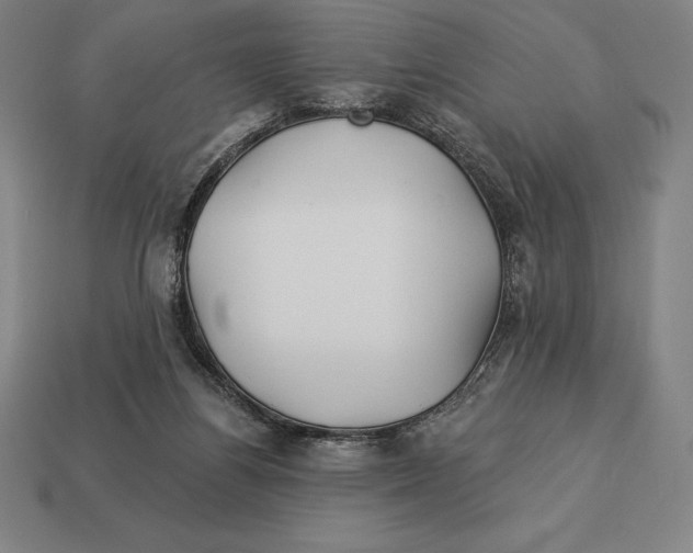 X0000113120164200909251120