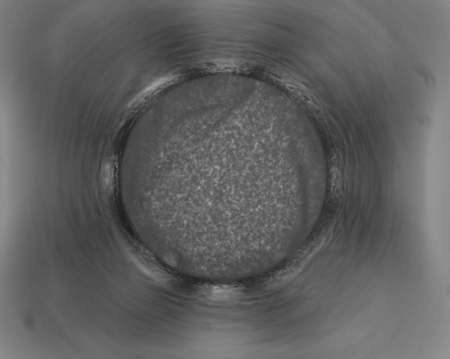 X0000113120165200909251120