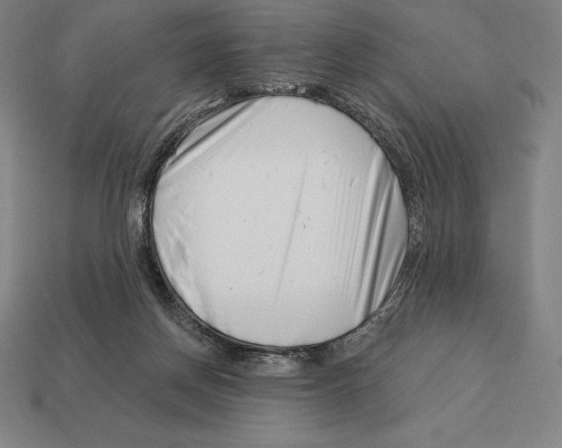 X0000113120166200909251120