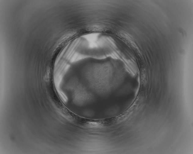 X0000113120167200909251120