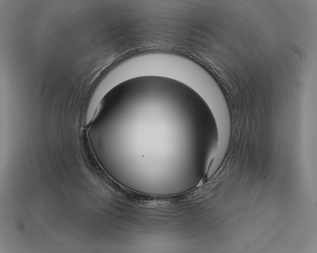 X0000113120168200909251120