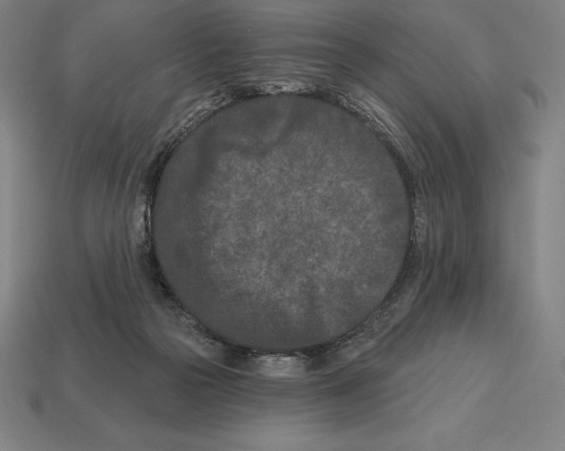 X0000113120169200909251120