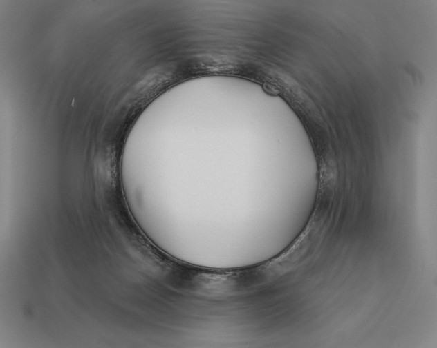 X0000113120170200909251120