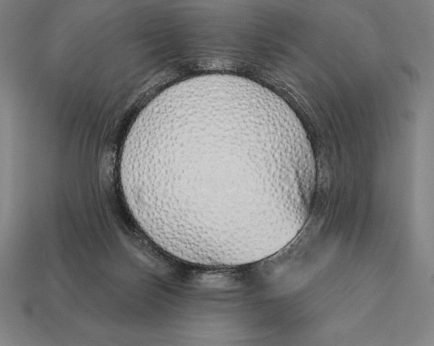 X0000113120171200909251120