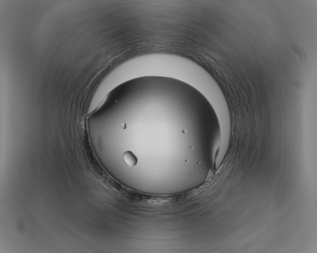 X0000113120172200909251120