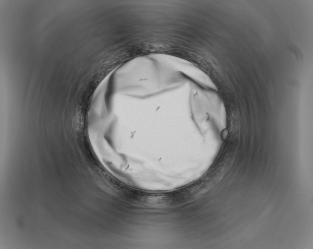 X0000113120173200909251120