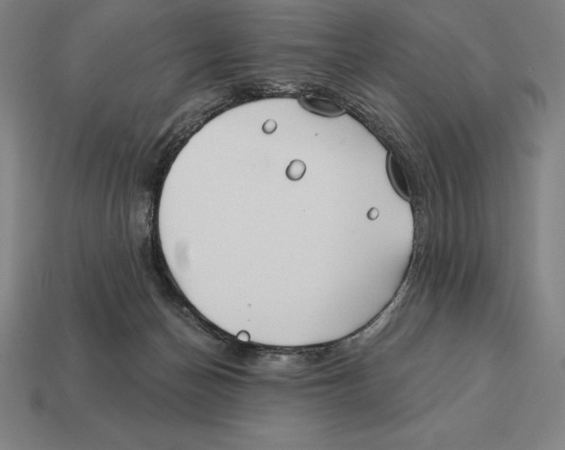 X0000113120174200909251120