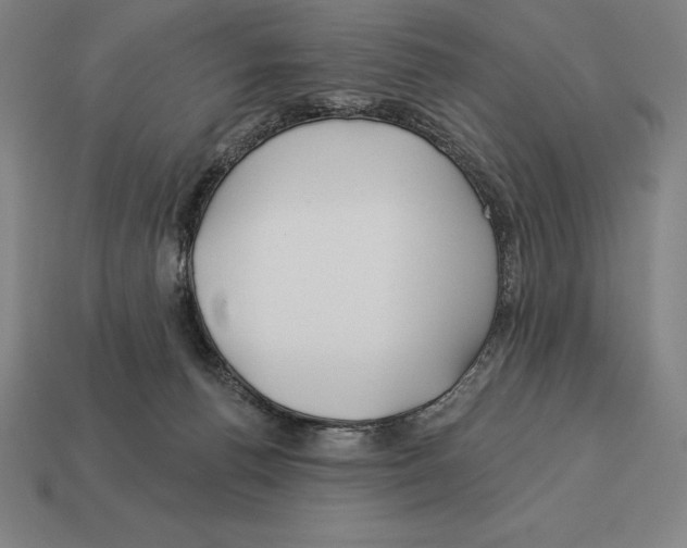 X0000113120176200909251120