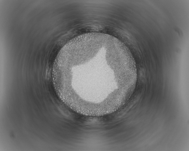 X0000113120177200909251120