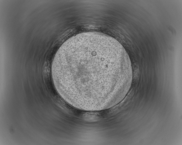 X0000113120179200909251120