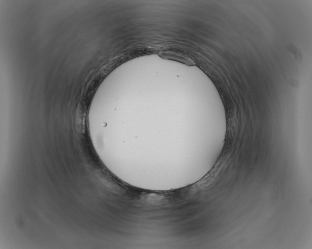 X0000113120180200909251120