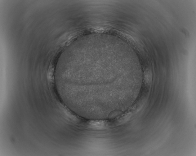 X0000113120181200909251120